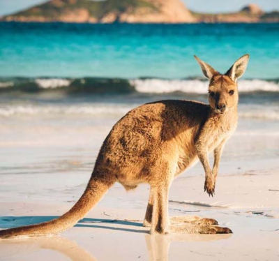 Budget Tour Packages Australia From New Zealand