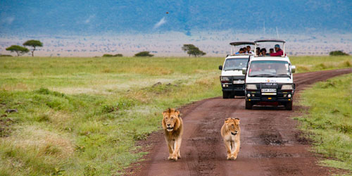 Enjoy Kenya