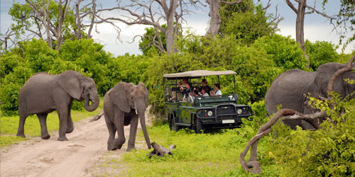 Experience Kenya