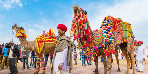 Golden Triangle Tour Package