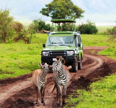 Adventure Tour Packages Kenya From New Zealand