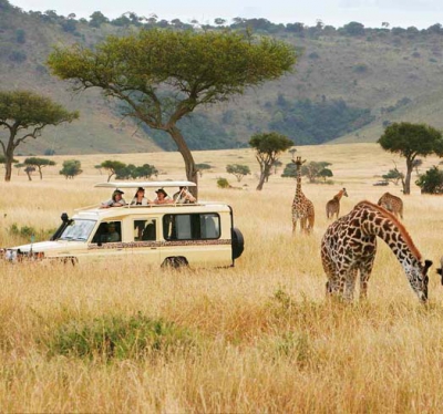 Budget Tour Packages Kenya From New Zealand
