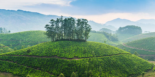 Kerala with Maldives Tour