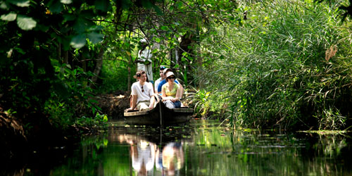 Mesmerizing Kerala Tour Package