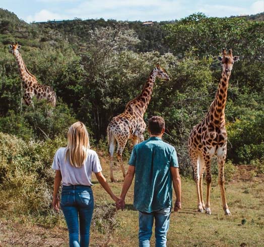 Homeymoon Tour Packages Tanzania From New Zealand